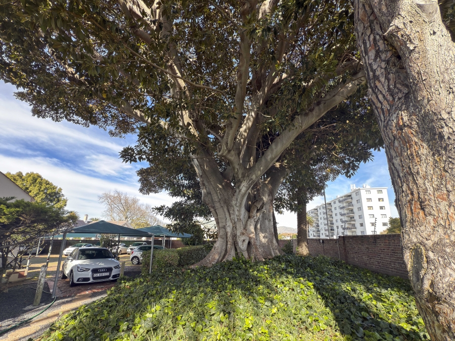 2 Bedroom Property for Sale in Plumstead Western Cape